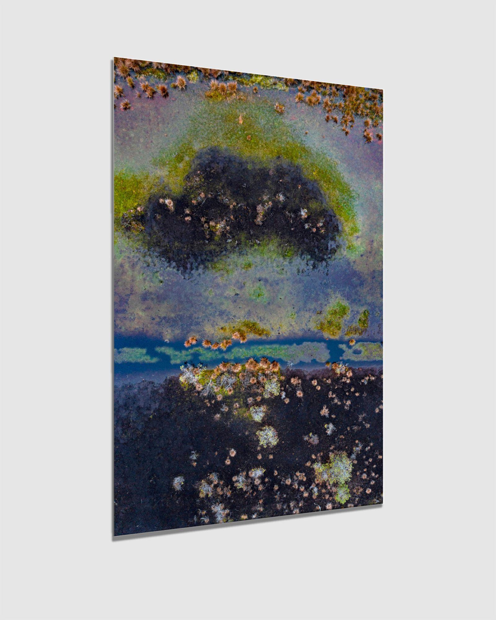 The Bog Renaturated 013 von Bernhard Lang – Luftaufnahmenfotografie, blaue Farbe im Angebot 3