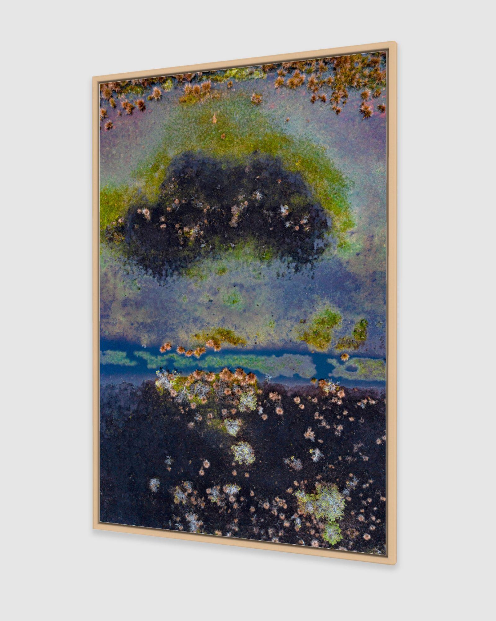 The Bog Renaturated 013 von Bernhard Lang – Luftaufnahmenfotografie, blaue Farbe im Angebot 4