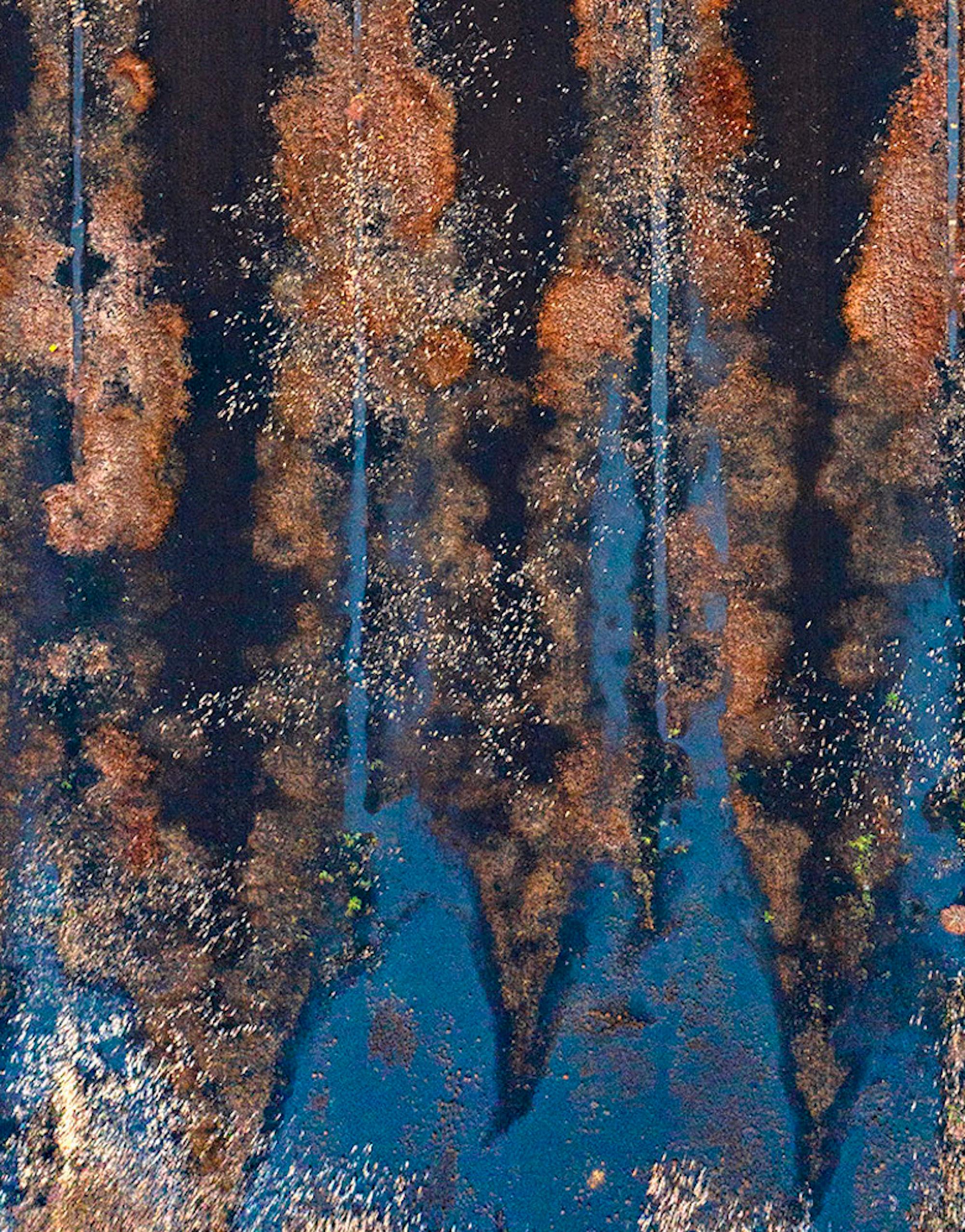  The Bog Renaturated 016 de Bernhard Lang - Photographie de vue aérienne, couleur bleue en vente 4
