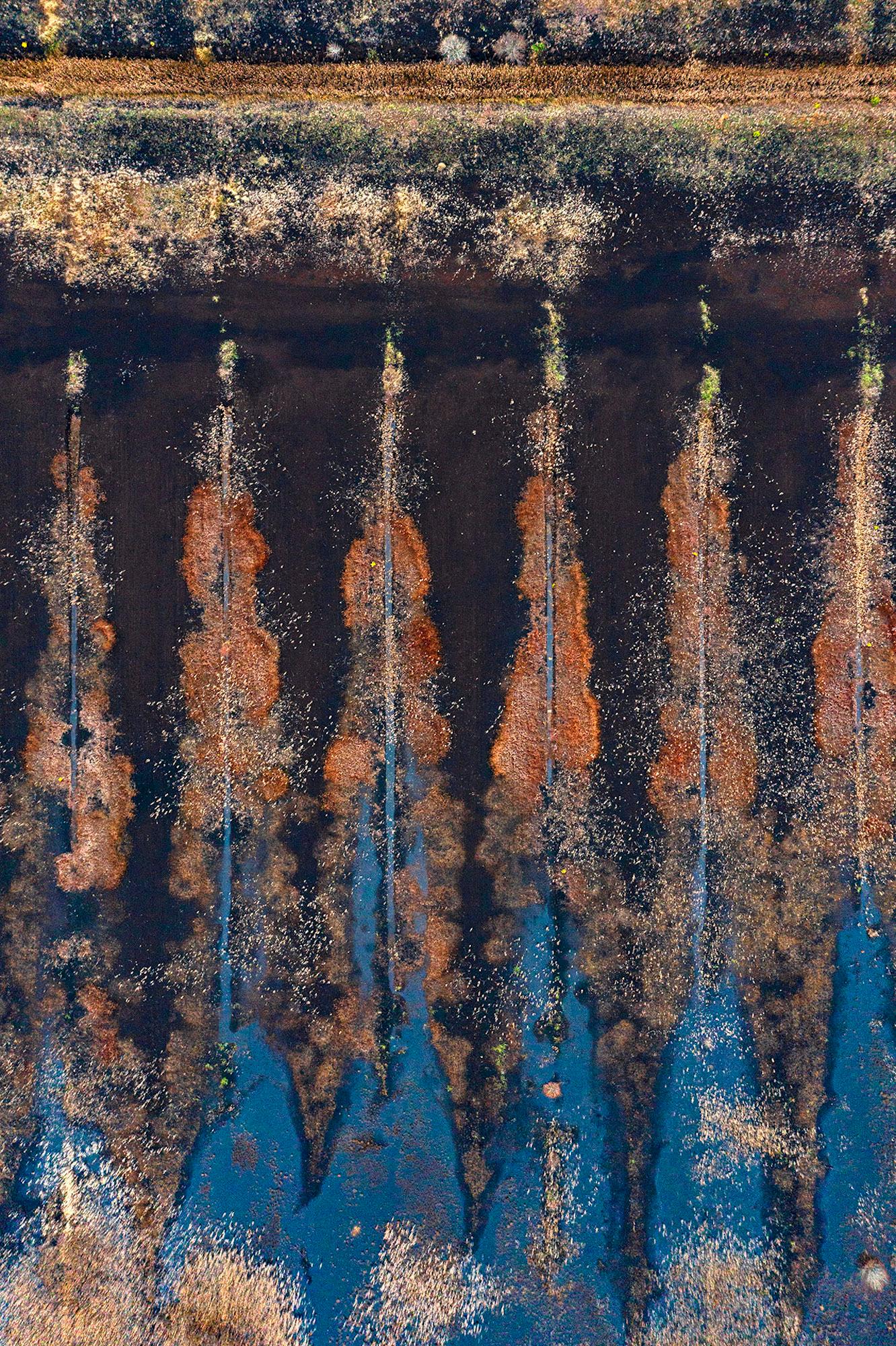 The Bog Renaturated 016 von Bernhard Lang – Luftaufnahmenfotografie, blaue Farbe