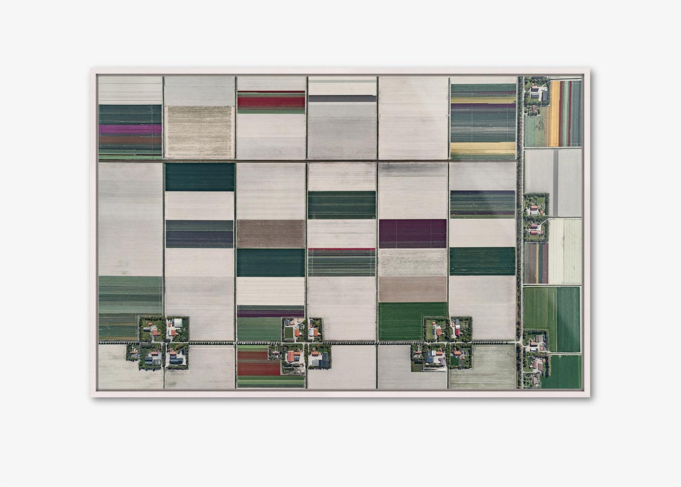 Campos de Tulipanes 01 de Bernhard Lang - Fotografía aérea abstracta, Países Bajos en venta 4