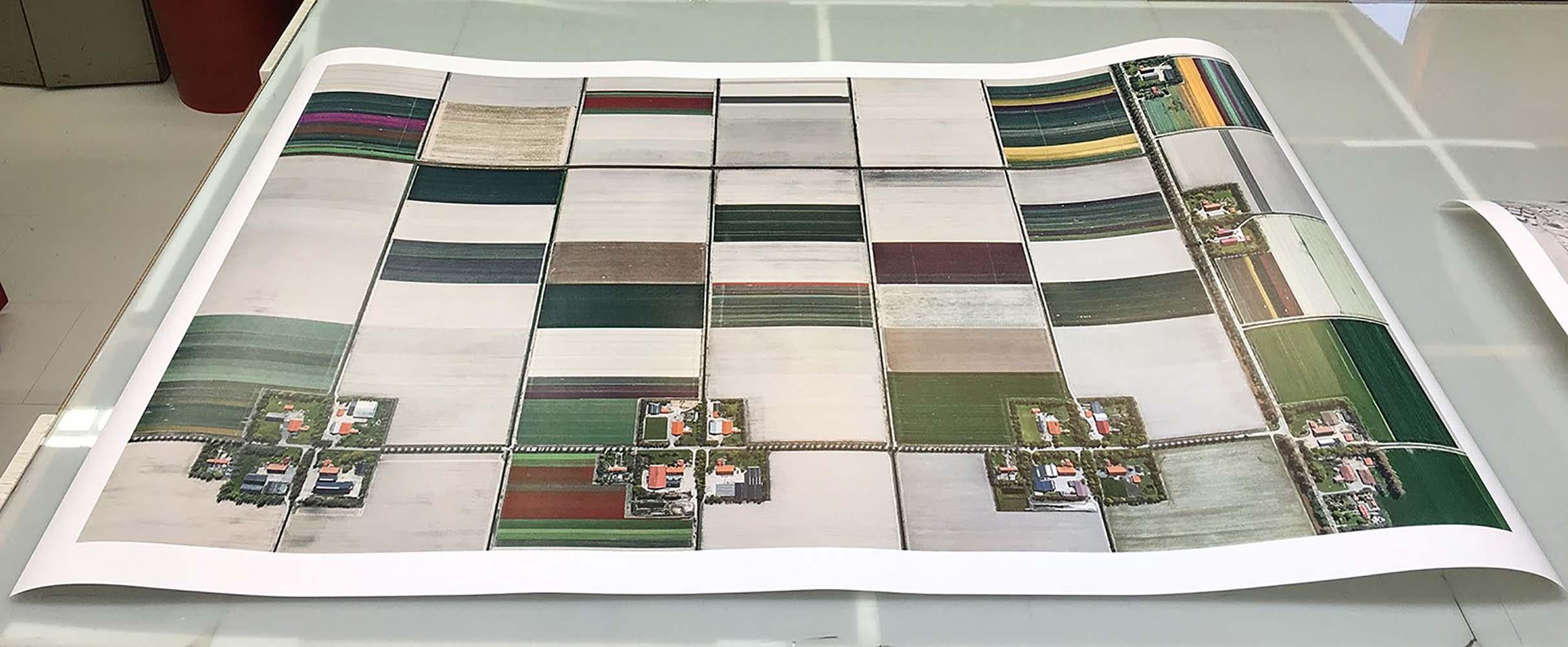 Campos de Tulipanes 01 de Bernhard Lang - Fotografía aérea abstracta, Países Bajos en venta 5