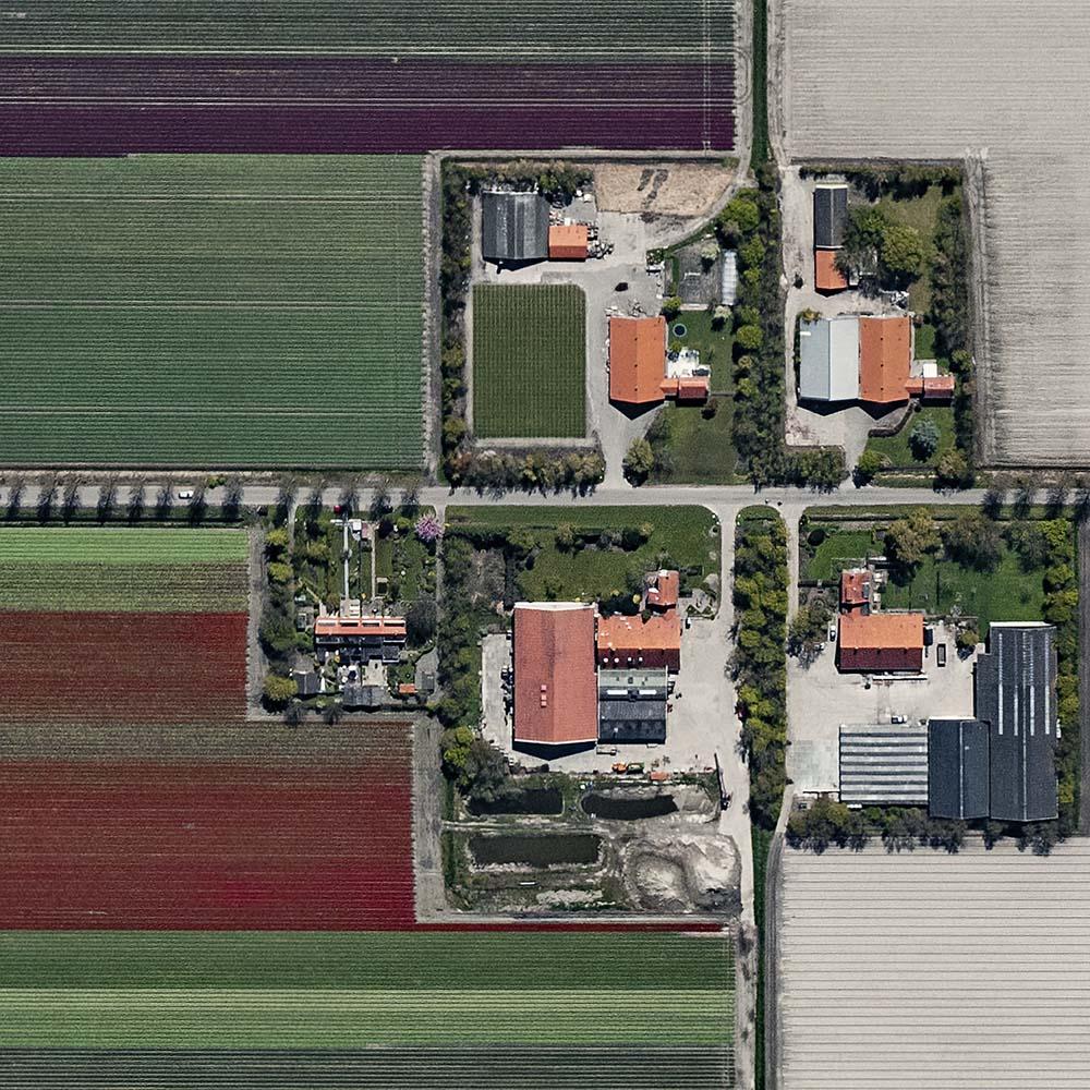 Campos de Tulipanes 01 de Bernhard Lang - Fotografía aérea abstracta, Países Bajos en venta 6