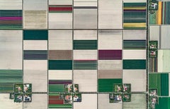 Tulip Fields 01 von Bernhard Lang – abstrakte Luftaufnahmen, Niederlande