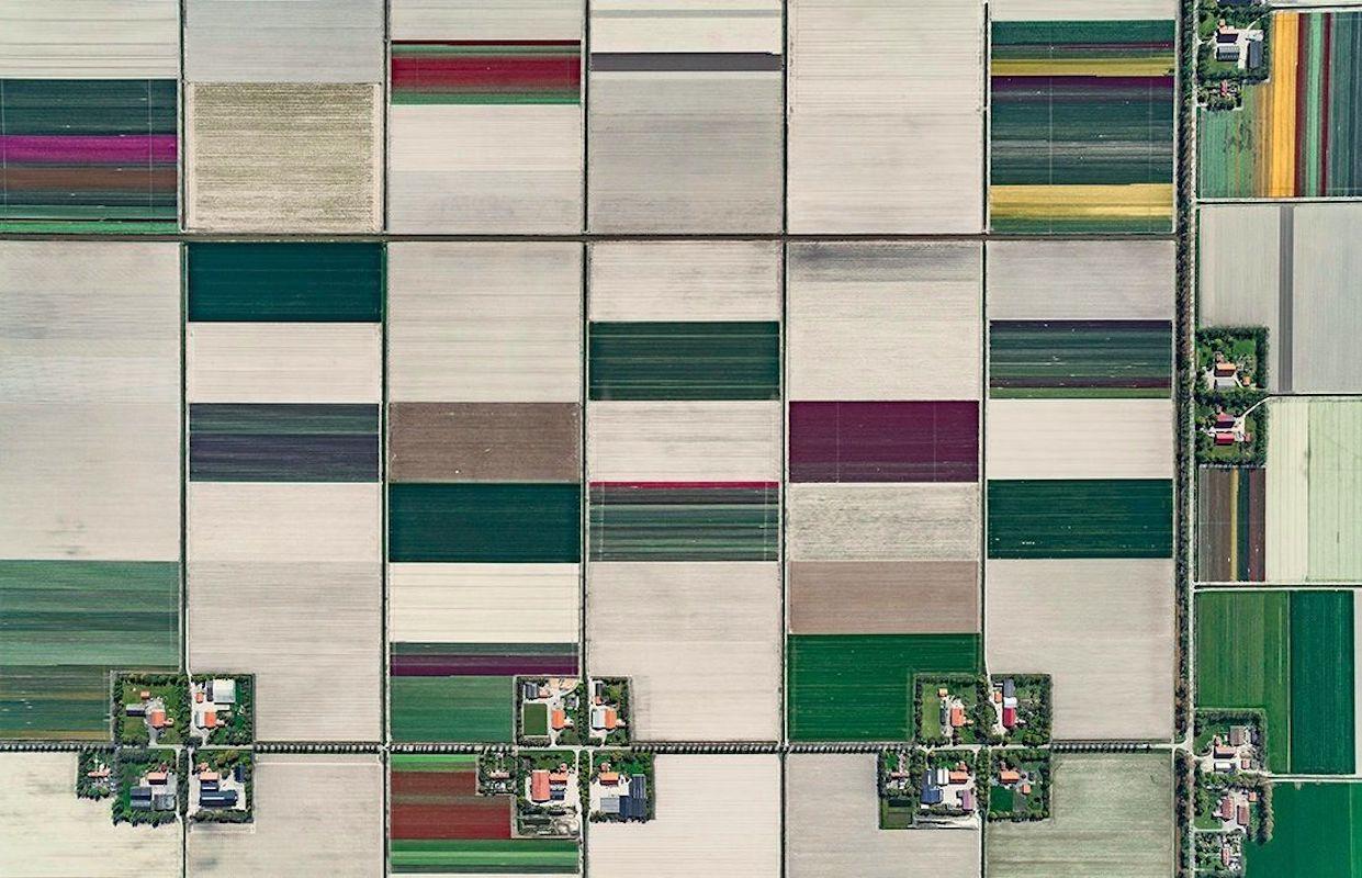 Tulip Fields 01 (Netherlands) by Bernhard Lang - Aerial abstract photography