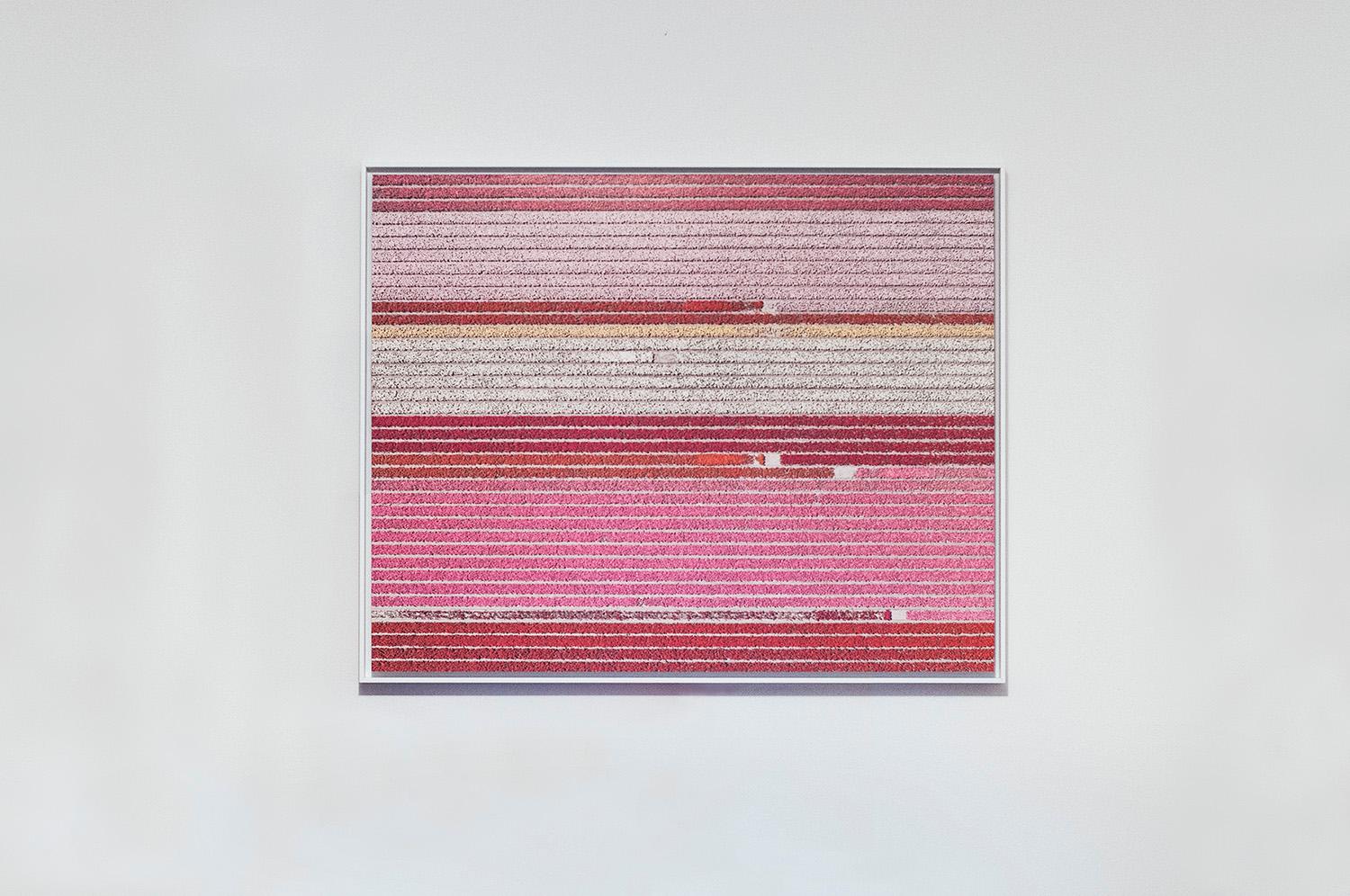 Campos de Tulipanes 05 (Países Bajos) de Bernhard Lang - Fotografía aérea abstracta 1