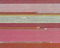 Campos de Tulipanes 05 (Países Bajos) de Bernhard Lang - Fotografía aérea abstracta