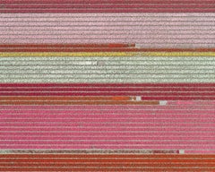 Tulip Fields 05 (Netherlands) by Bernhard Lang - Aerial abstract photography