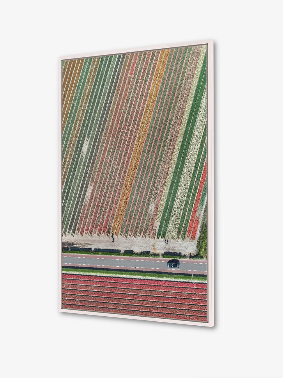 Tulip Fields 10 von Bernhard Lang – abstrakte Luftaufnahmen, Niederlande im Angebot 1