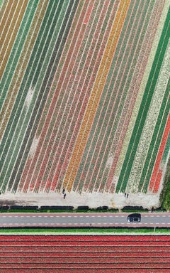 Campos de Tulipanes 10 de Bernhard Lang - Fotografía aérea abstracta, Países Bajos