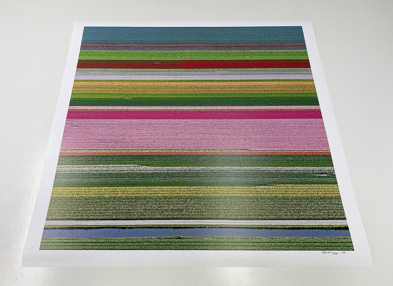 Tulip Fields 14 de Bernhard Lang - Photographie abstraite aérienne, Pays-Bas en vente 7