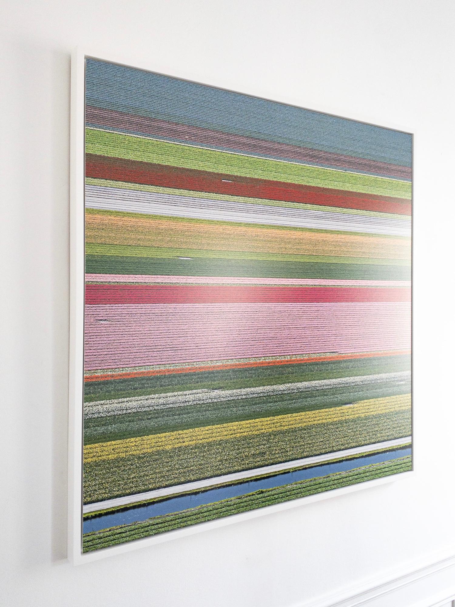 Tulip Fields 14 de Bernhard Lang - Photographie abstraite aérienne, Pays-Bas en vente 3