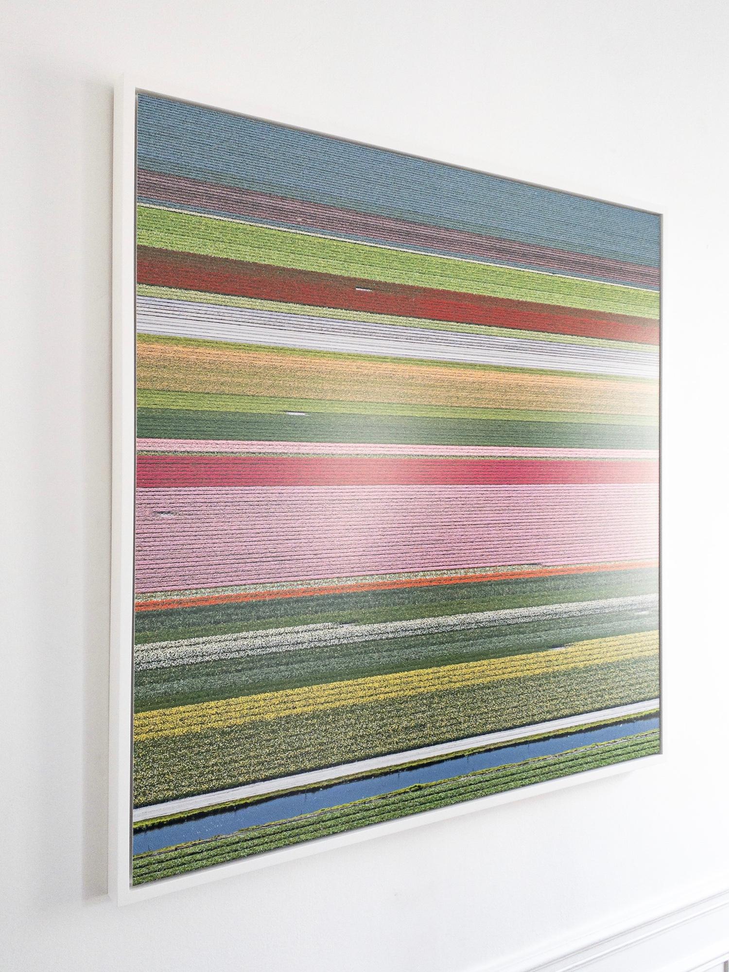 Campos de Tulipanes 14 de Bernhard Lang - Fotografía floral aérea, Países Bajos, encuadre en venta 3