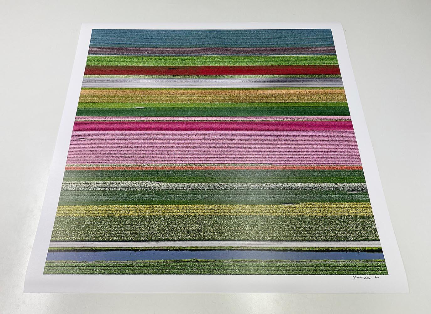 Campos de Tulipanes 14 de Bernhard Lang - Fotografía floral aérea, Países Bajos, encuadre en venta 6