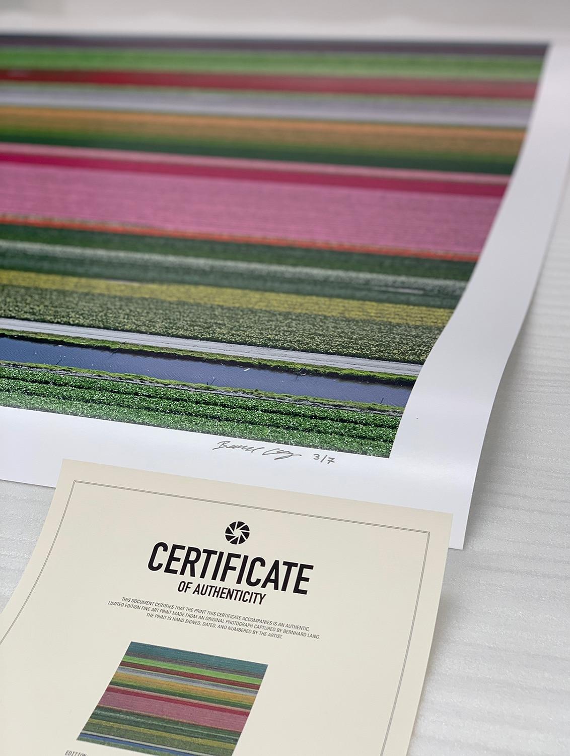 Campos de Tulipanes 14 de Bernhard Lang - Fotografía floral aérea, Países Bajos, encuadre en venta 7