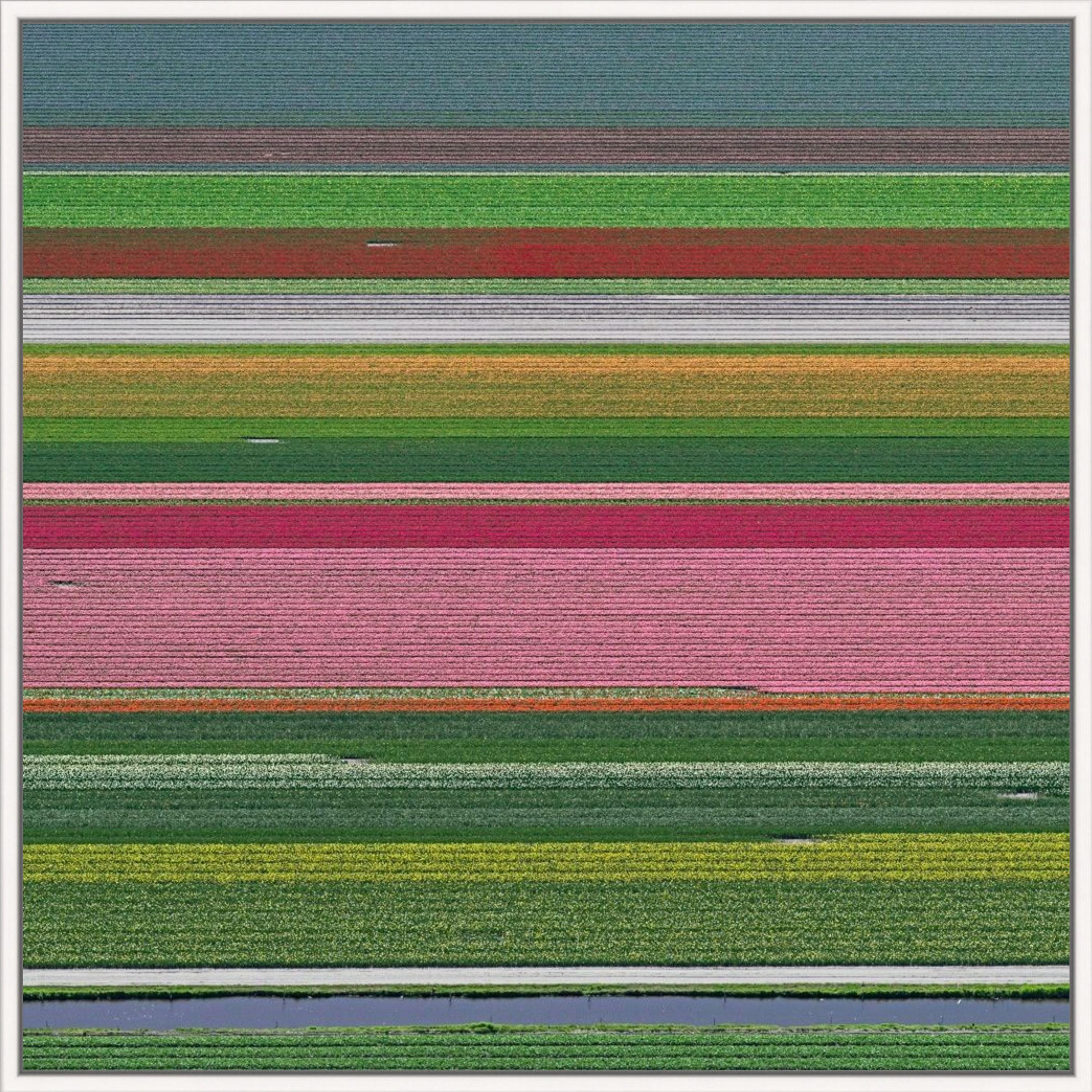 Vistas aéreas, campos de tulipanes 14 es una fotografía en edición limitada del artista contemporáneo alemán Bernhard Lang. 

Esta fotografía es una edición limitada de 10 ejemplares, se vende enmarcada con una caja de sombra blanca. Las dimensiones