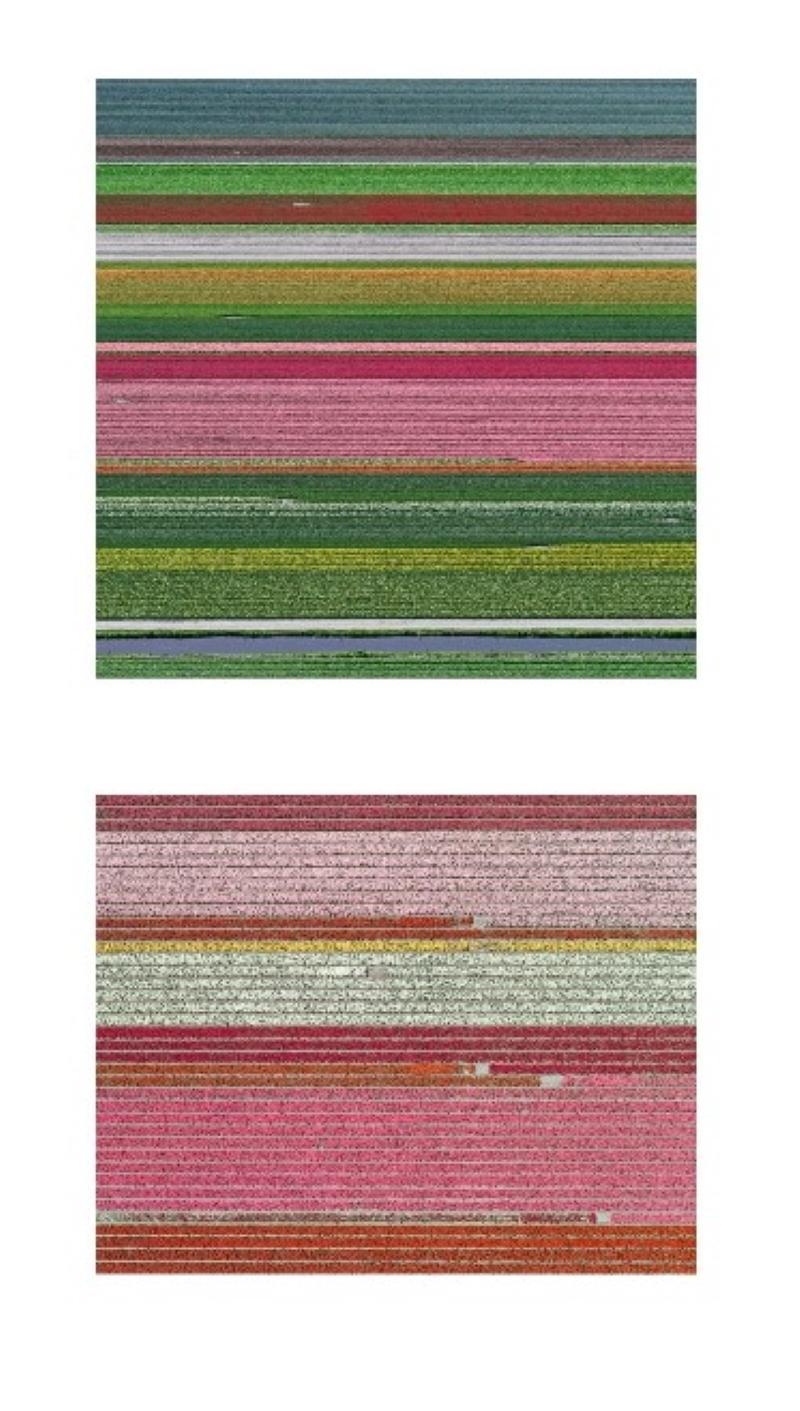 Aerial Views, Tulip Fields 14 and Tulip Fields 05 are limited-edition photographs by German contemporary artist Bernhard Lang. 


Since 2010 this photographer dedicates himself to aerial photography, travelling around the world and looking for