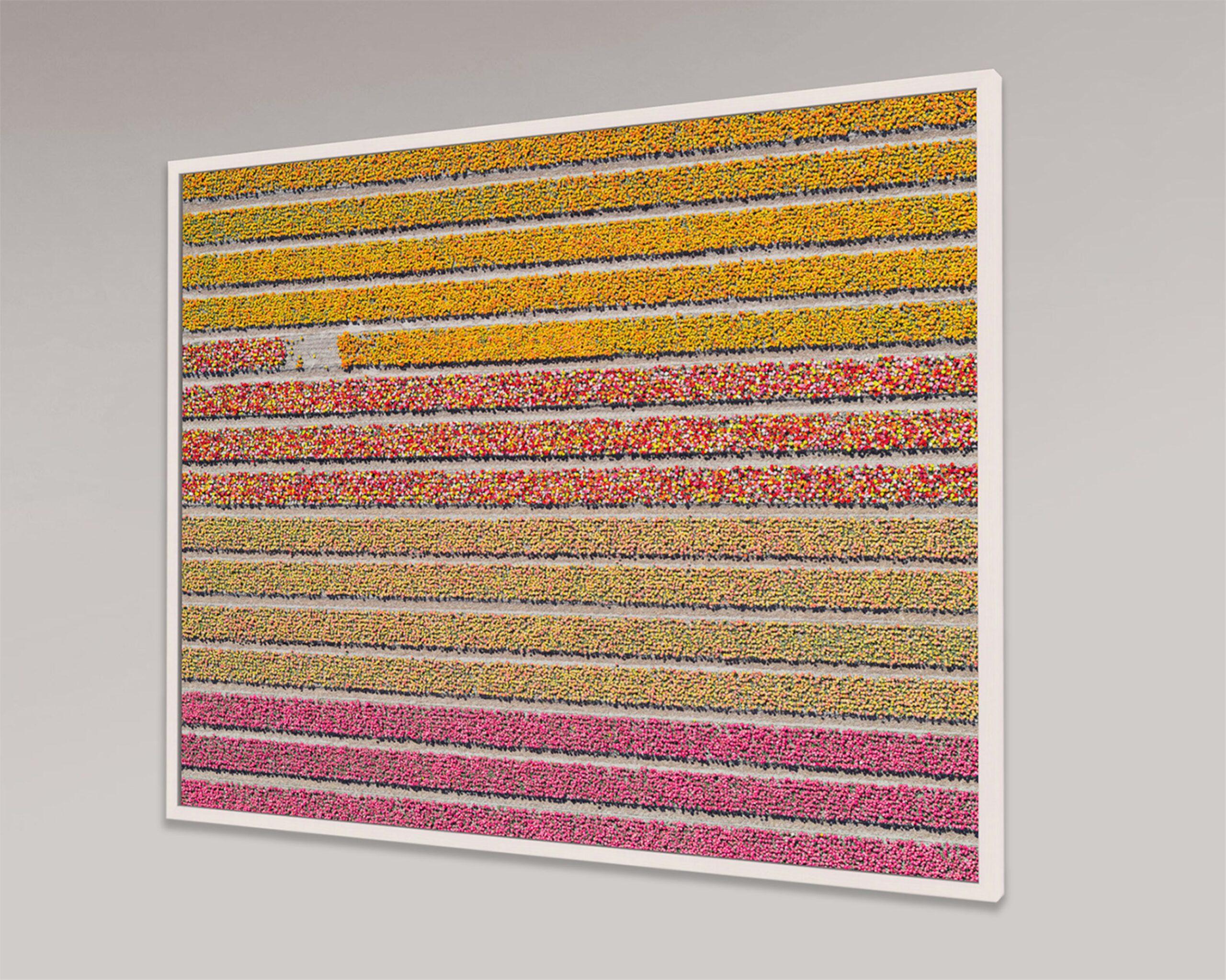 Tulip Fields 16 von Bernhard Lang – abstrakte Luftaufnahmen, Blumen im Angebot 7