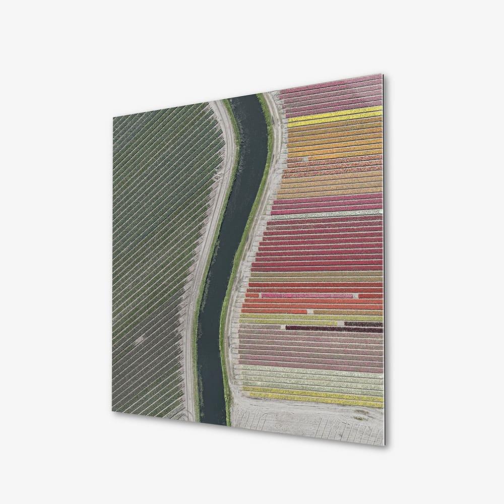Tulip Fields 27 by Bernhard Lang - Aerial abstract photography, flowers For Sale 4