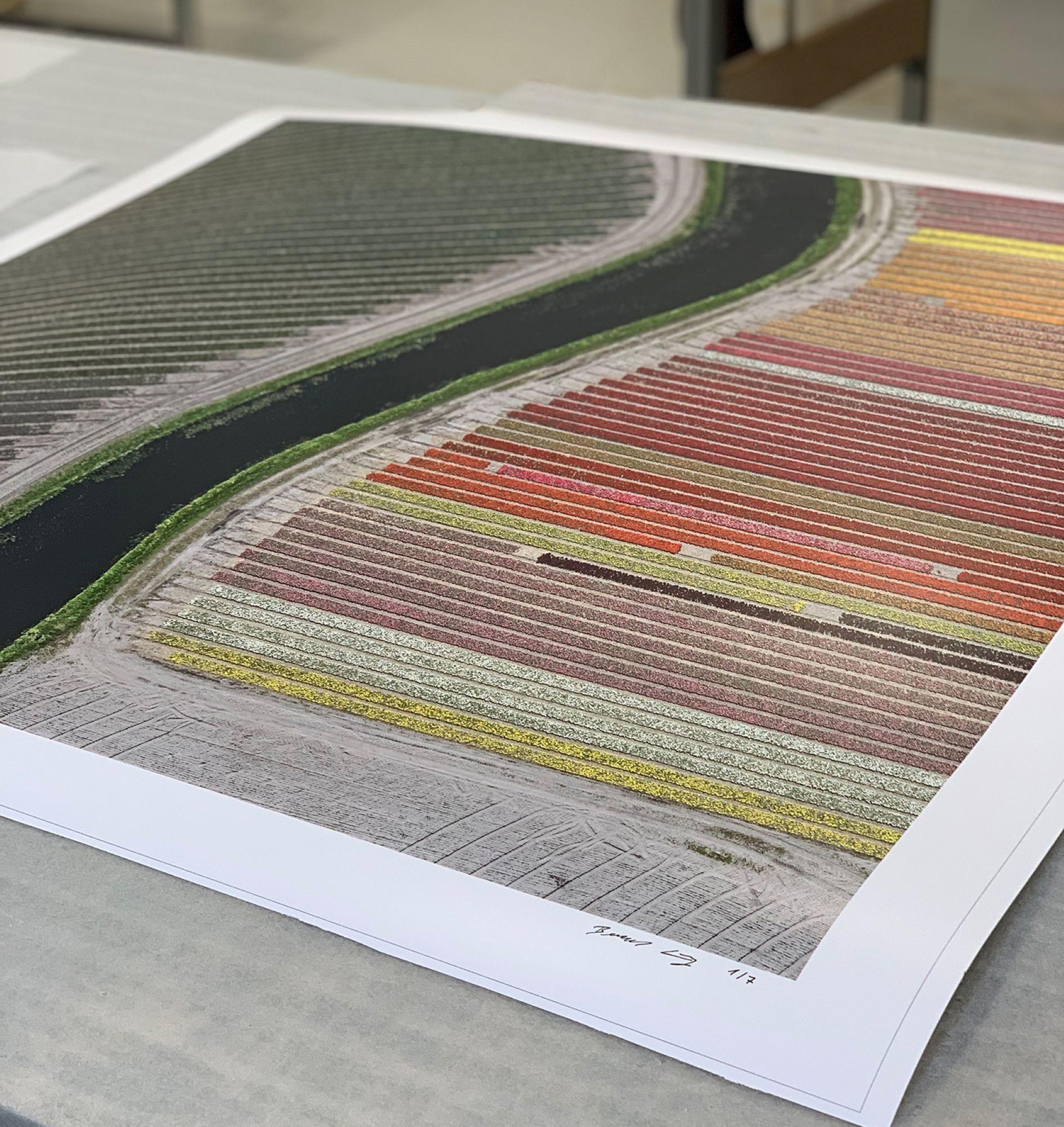 Campi di tulipani 27 di Bernhard Lang - Fotografia aerea astratta, fiori in vendita 7