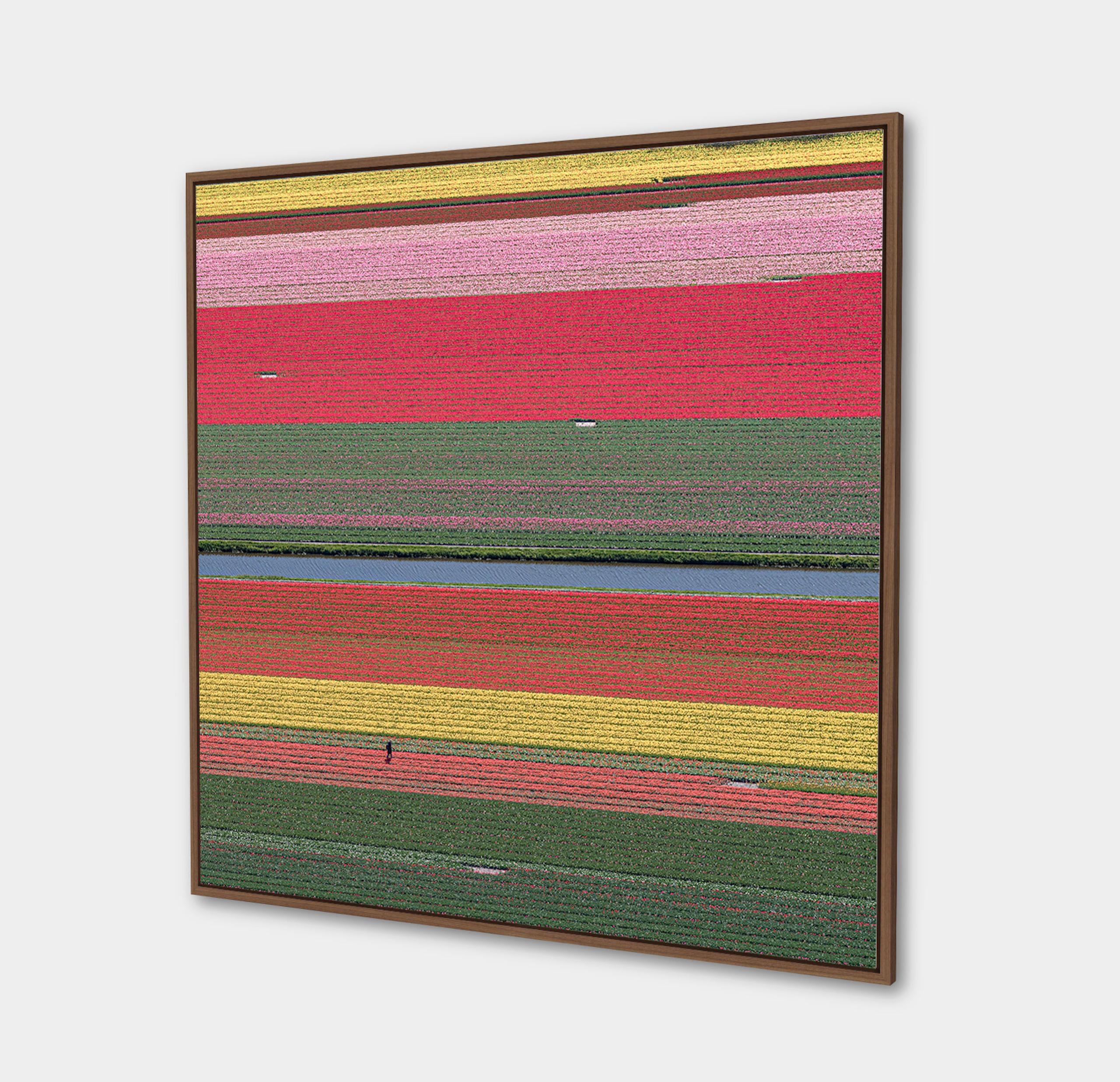 Campos de Tulipanes 36 de Bernhard Lang - Fotografía abstracta aérea, flores, vivos en venta 4