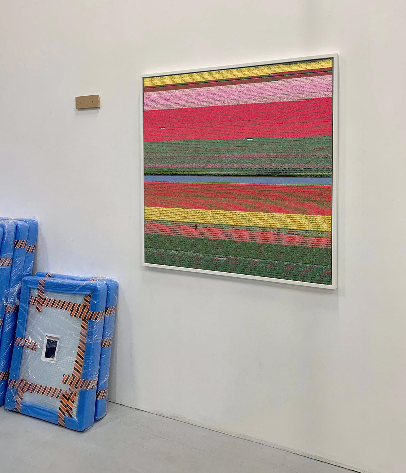 Campos de Tulipanes 36 de Bernhard Lang - Fotografía abstracta aérea, flores, vivos en venta 3