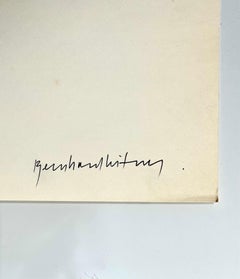 Austrian Sound Space Architect Bernhard Leitner Photo Lithograph Hand Signed Art