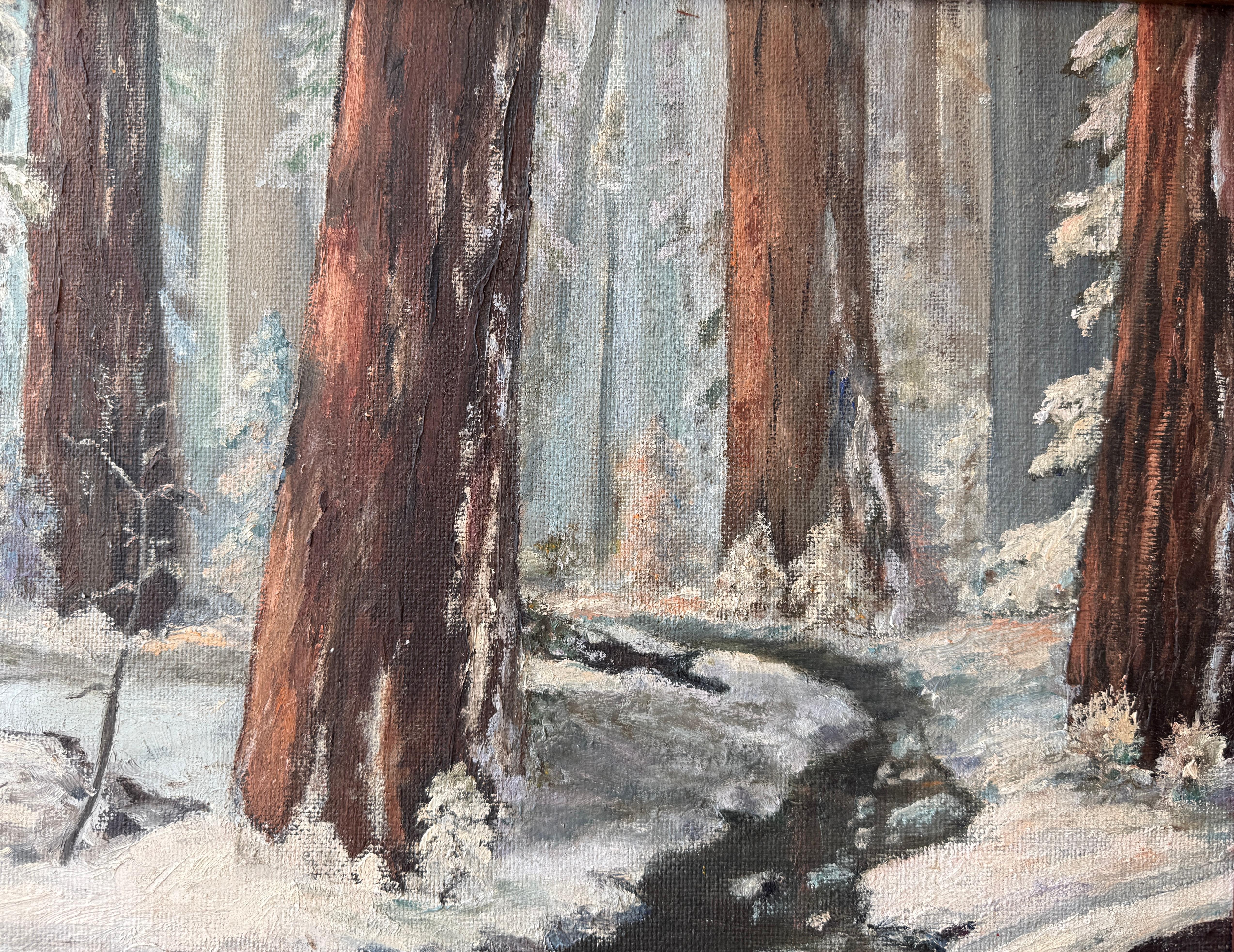 High Sierra California Redwoods in the Snow For Sale 1