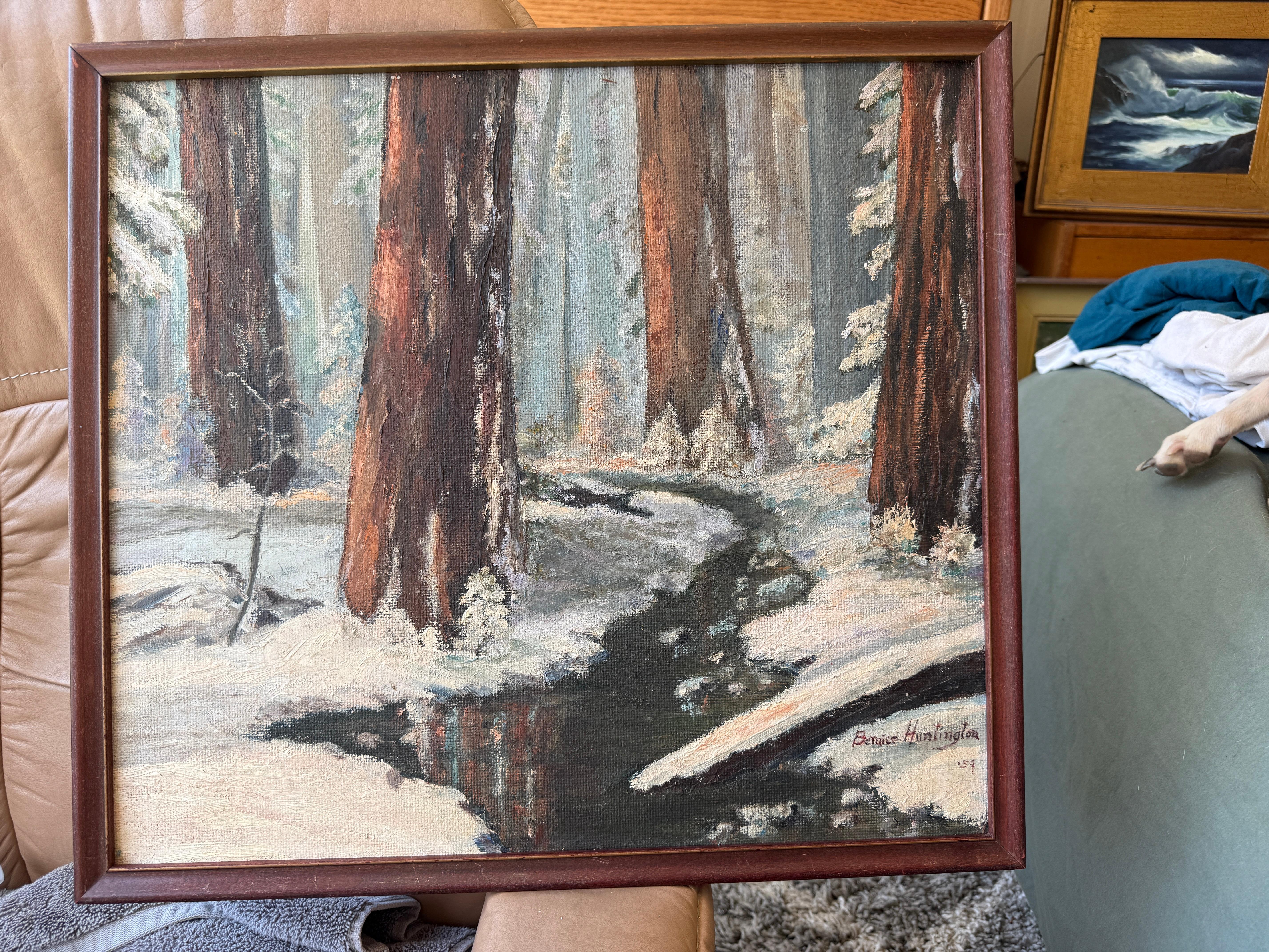 High Sierra California Redwoods in the Snow For Sale 2