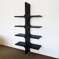 Bernini Italian Light and Dark Curved Ash Wood Bookcase, 2002, by Franco Poli