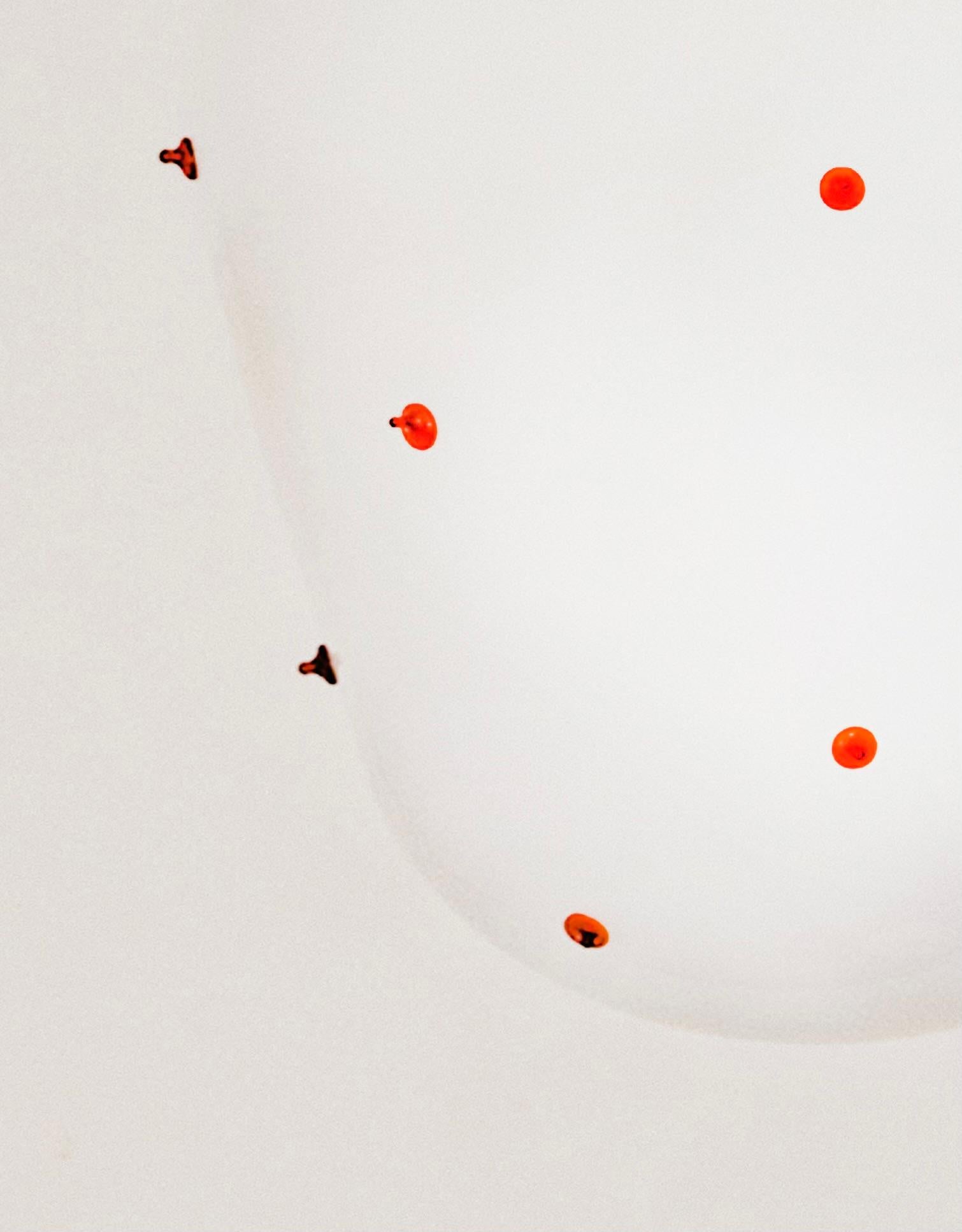 Berries, Blown Glass Wall Light, Red Dots, Brass by Marie & Alexandre- Size M For Sale 2