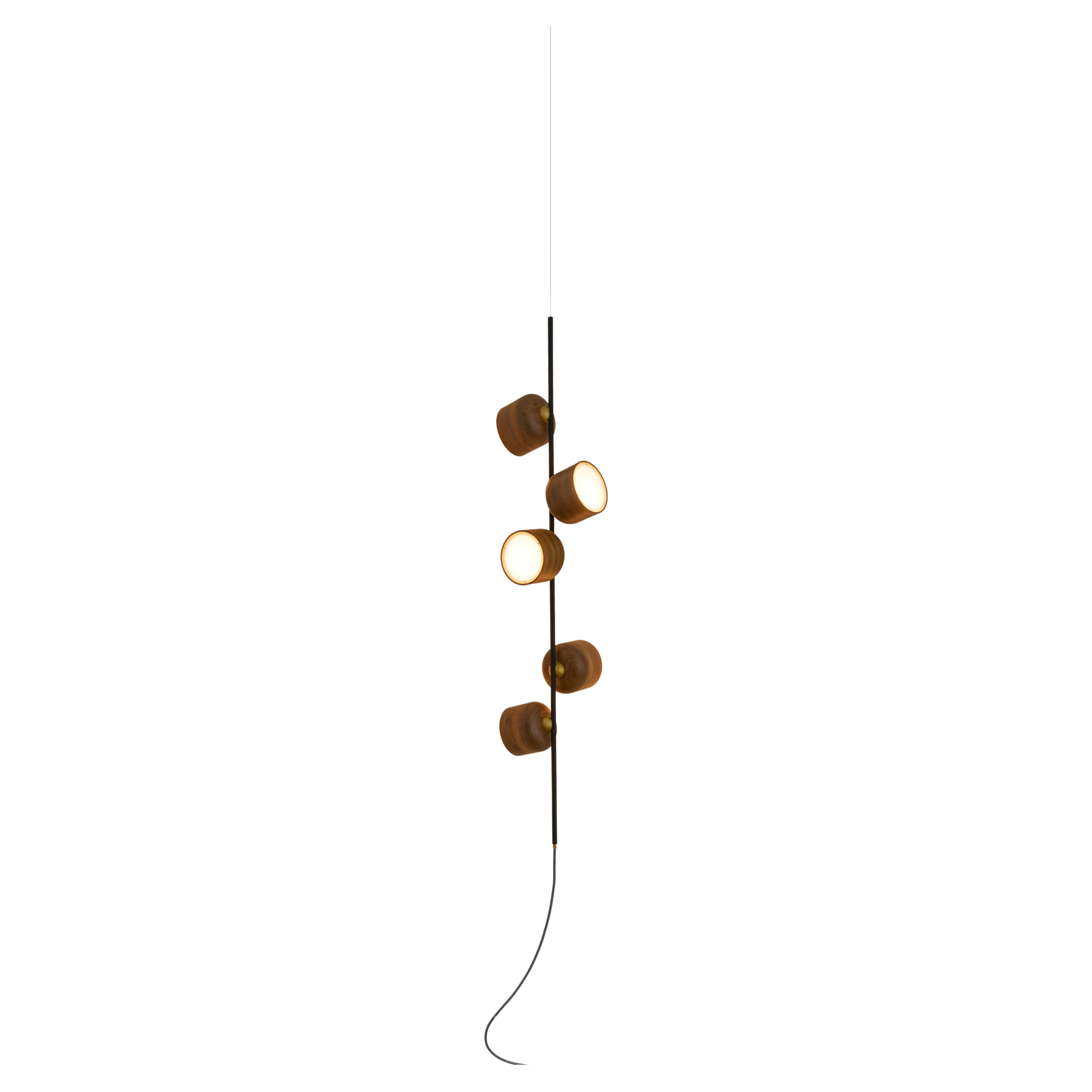 Berries, Pendant Lamp Made of Metal, Brass, Acrylic and Walnut For Sale