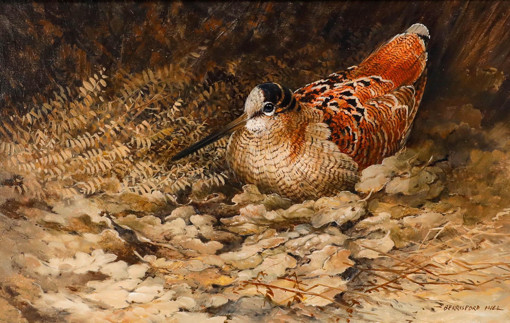 Berrisford Hill (nato nel 1930) - Olio del XX secolo, Studio di una beccaccia in vendita 1