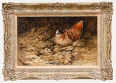 Berrisford Hill (b.1930) - 20th Century Oil, Study of a Woodcock