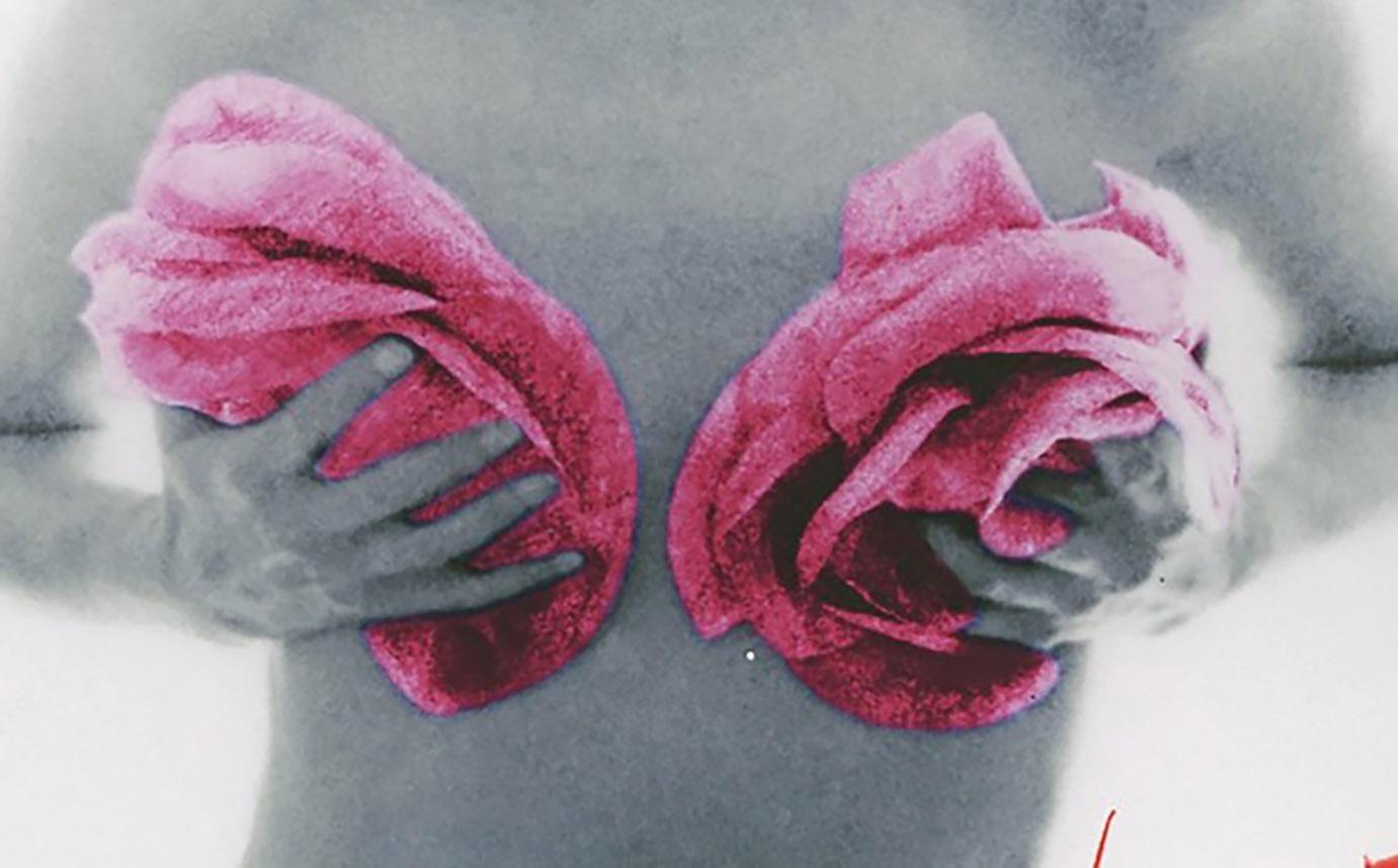 Bert stern „“Marilyn Monroe Klassische rosa Rosen „“ 2011 im Angebot 1