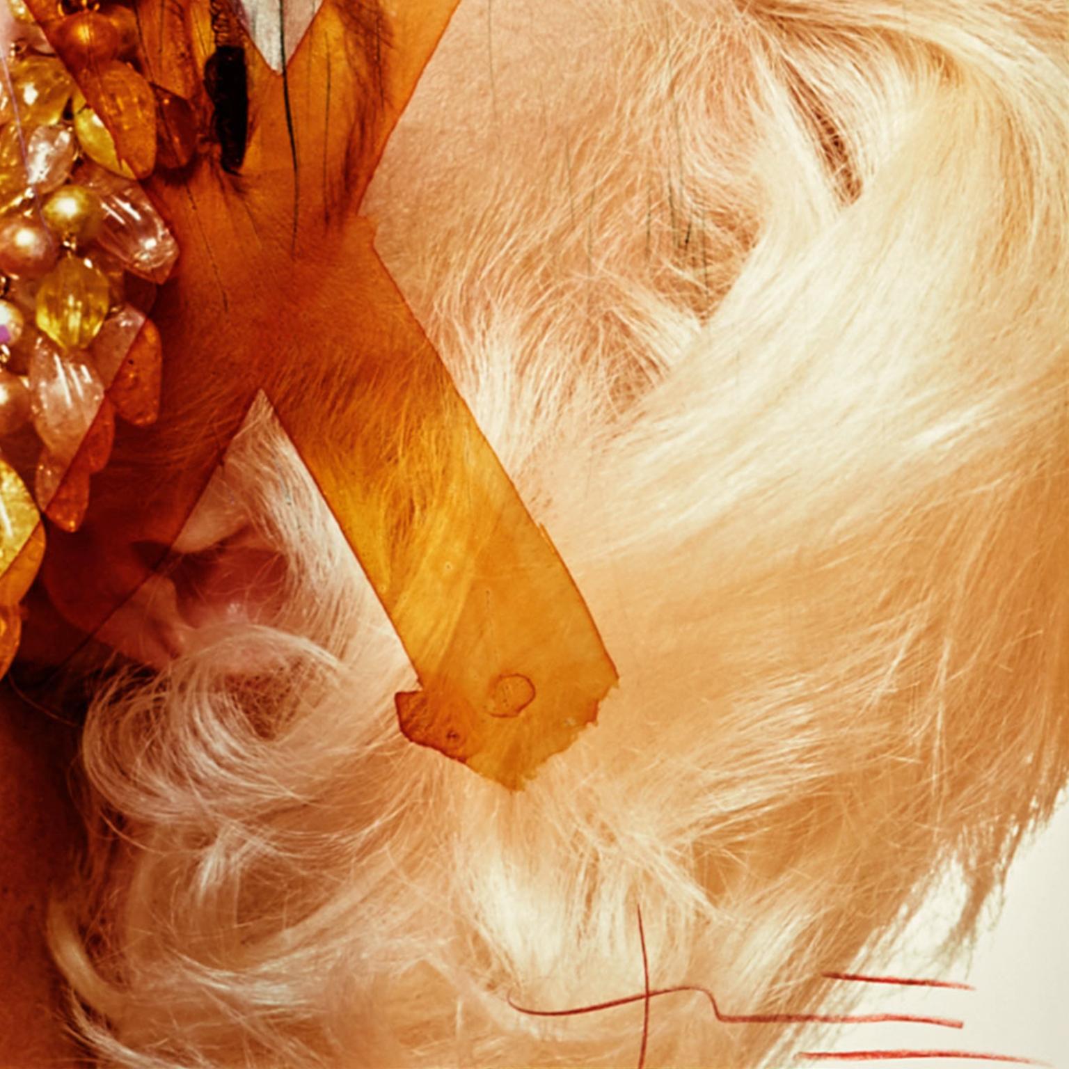 Marilyn Monroe by Bert Stern, C-Print 'Marilyn with Jewels' -Signed & Editioned For Sale 2