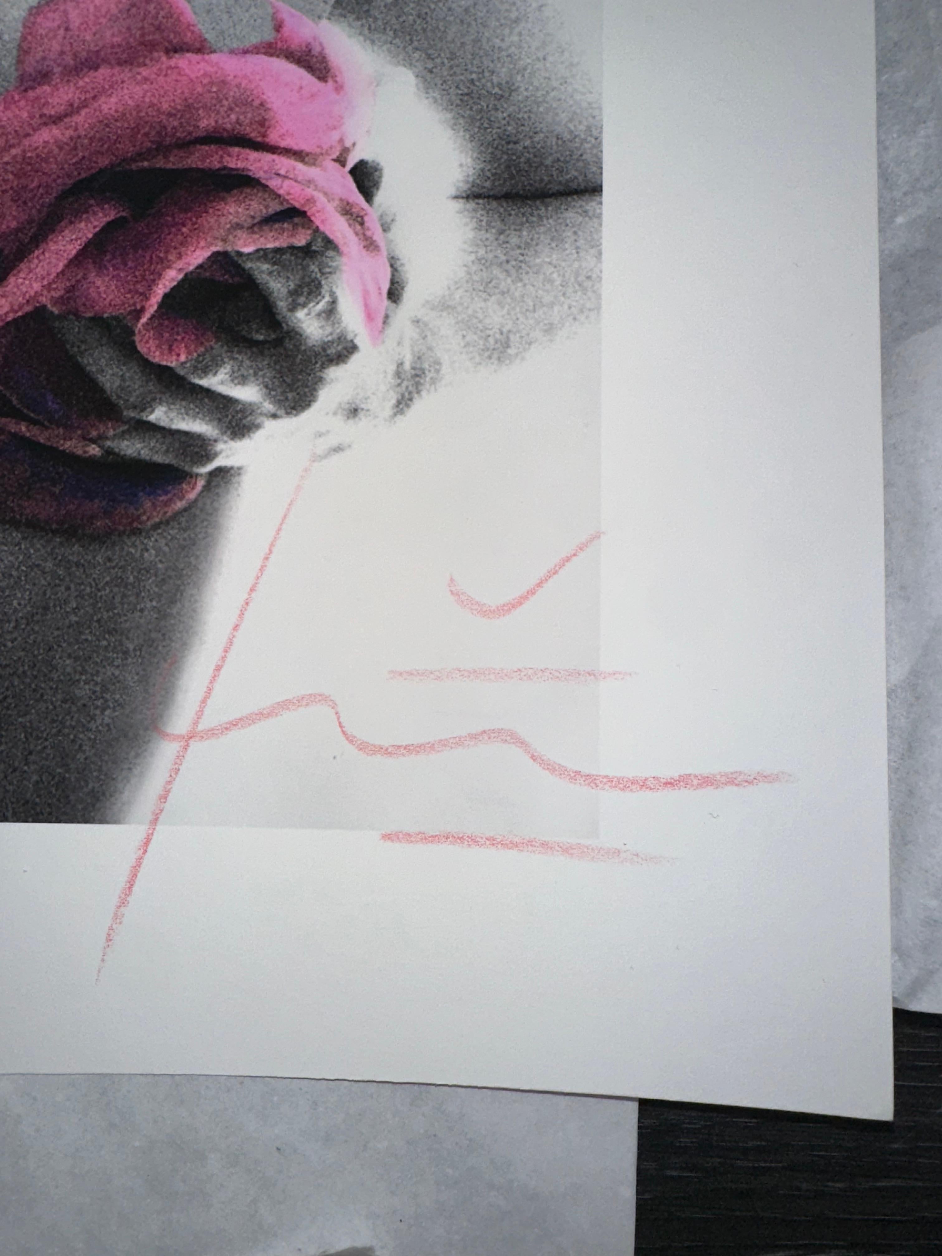 Marilyn With Pink Roses - Print by Bert Stern