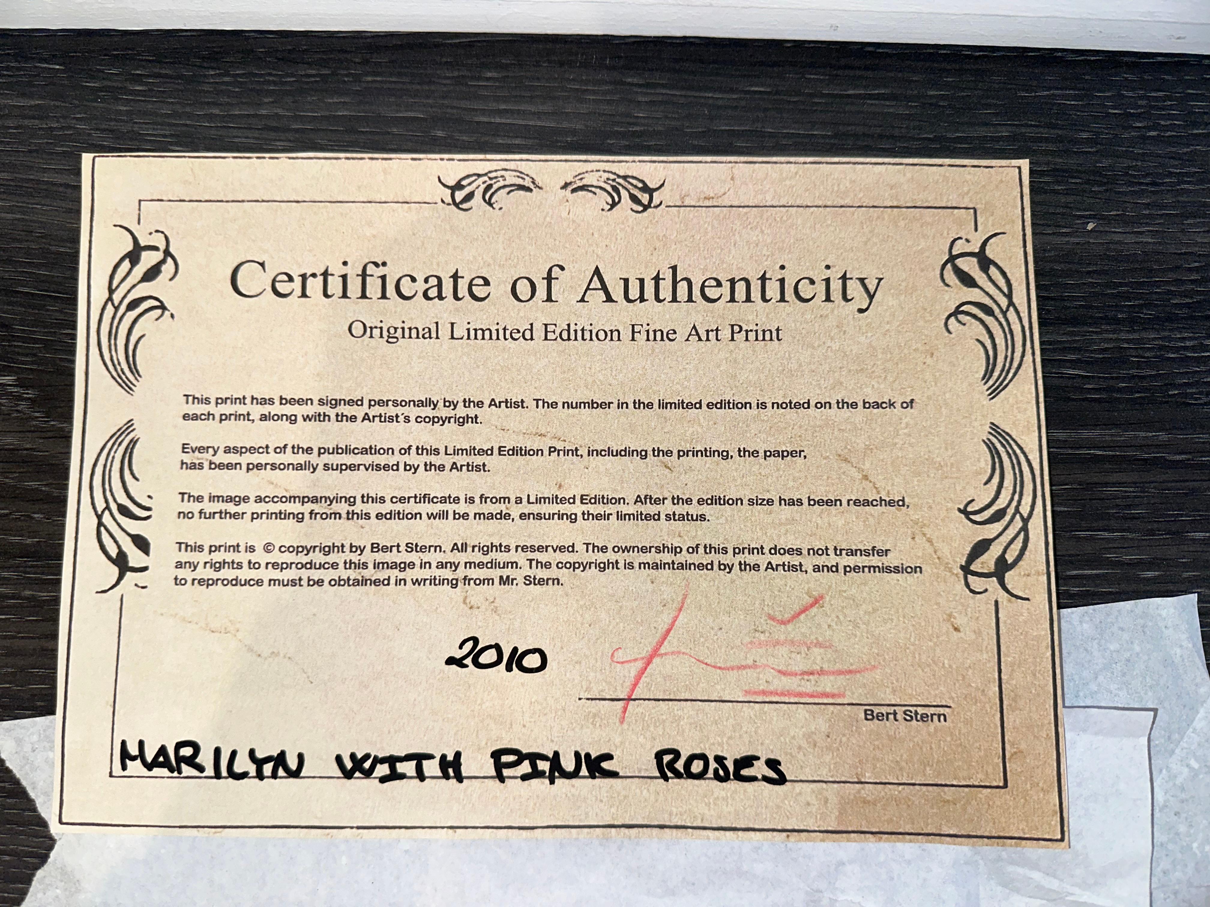 Limited Edition Print

Hand-signed by the artist on recto and verso

Includes photographer's stamp on verso

Includes certificate of authenticity