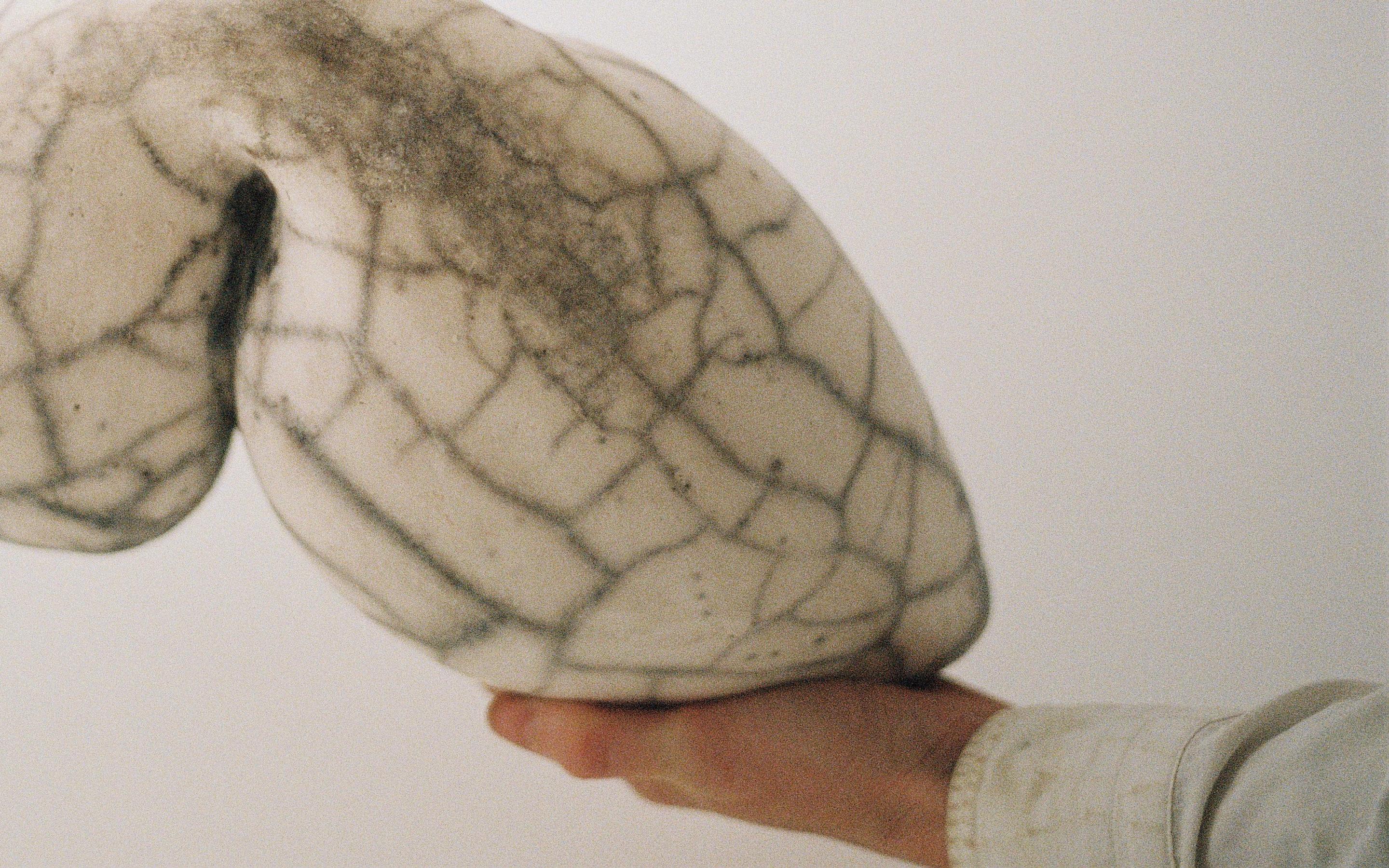 Querausrichtung – Sculpture von Berta Blanca Ivanow