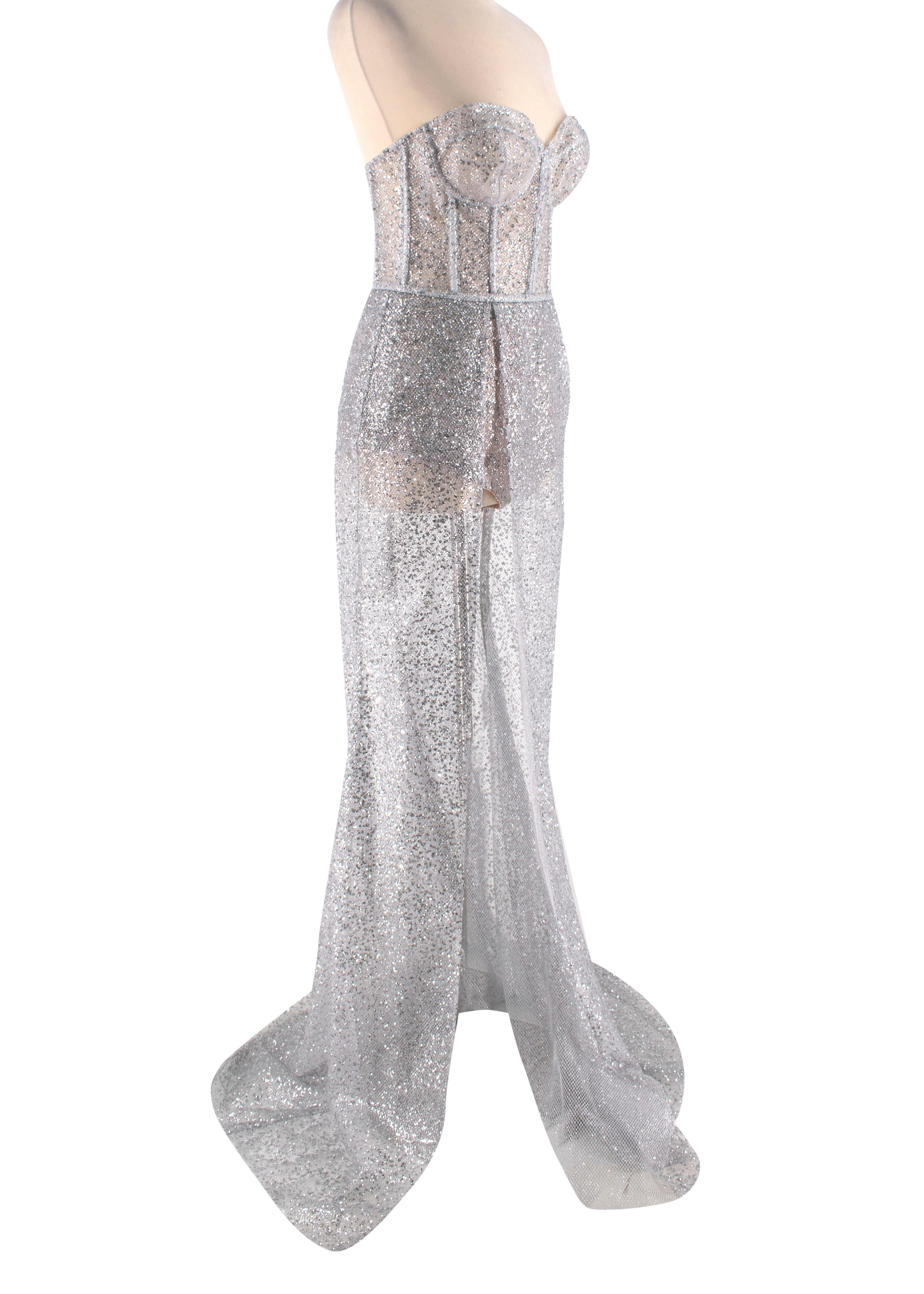 silver corset dress