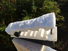 Testa di alligatore fossile II, scultura originale contemporanea