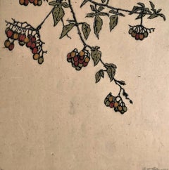 Fulcassiara (Night Shade #2. Solanum Dulcamara.)