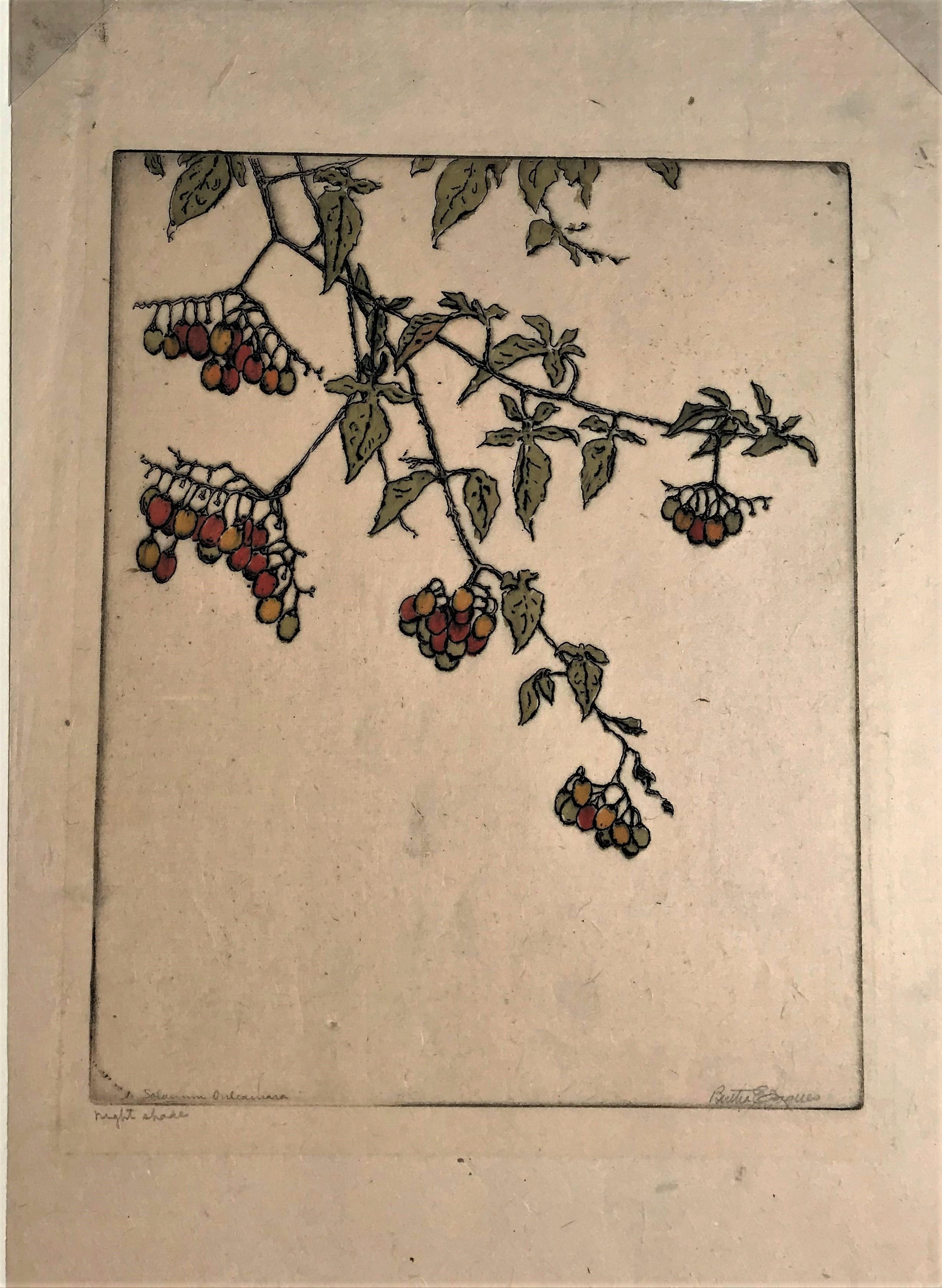 Fulcassiara (Night Shade #2. Solanum Dulcamara). ( Deadly Nightshade). 1932. Drypoint with hand coloring. Jaques 432. 10 7/8 x 7 7/8 (sheet 15 1/8 x 10 1/16). A rich impression with plate tone, printed on Japanese mulberry paper. Provenance: the