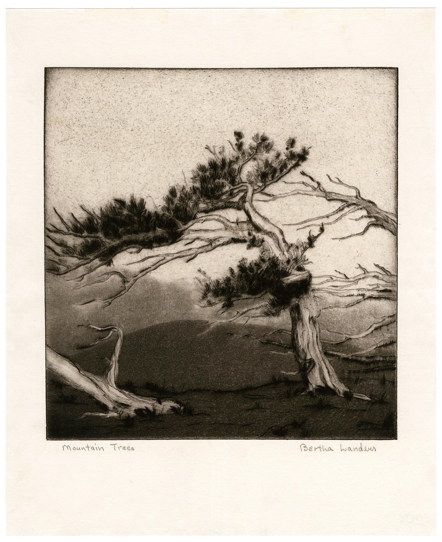 'Mountain Trees' — 1930s Southwestern Regionalism - Print by Bertha Landers