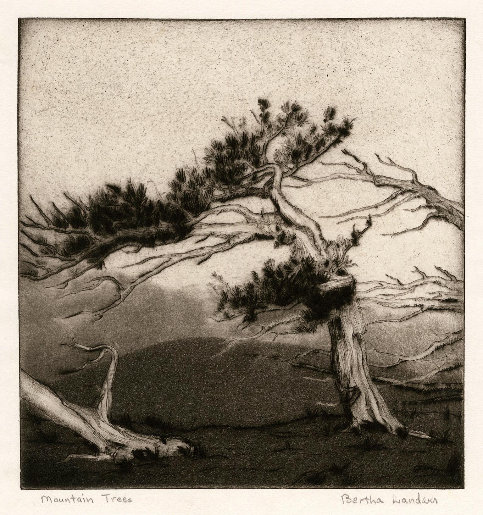 Bertha Landers Landscape Print – Mountain Trees" - Südwestlicher Regionalismus der 1930er Jahre