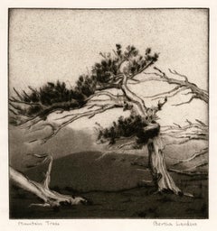 'Mountain Trees' — 1930s Southwestern Regionalism