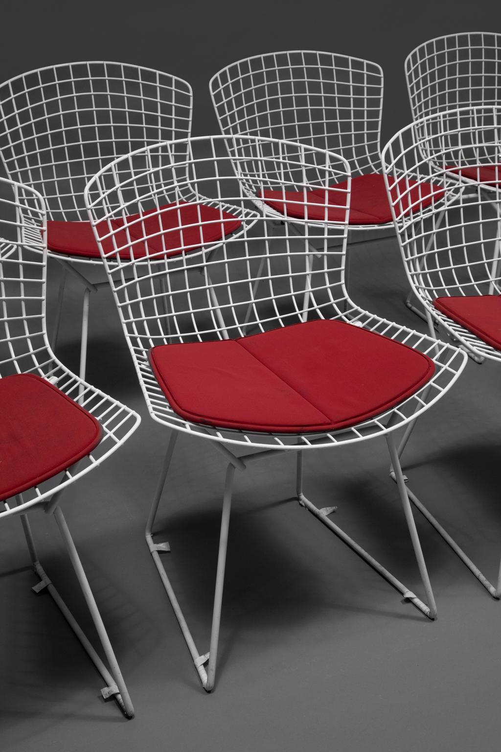 Mid-Century Modern Bertoia, Eight White Welded Steel Chairs with Four Red Cushions For Sale