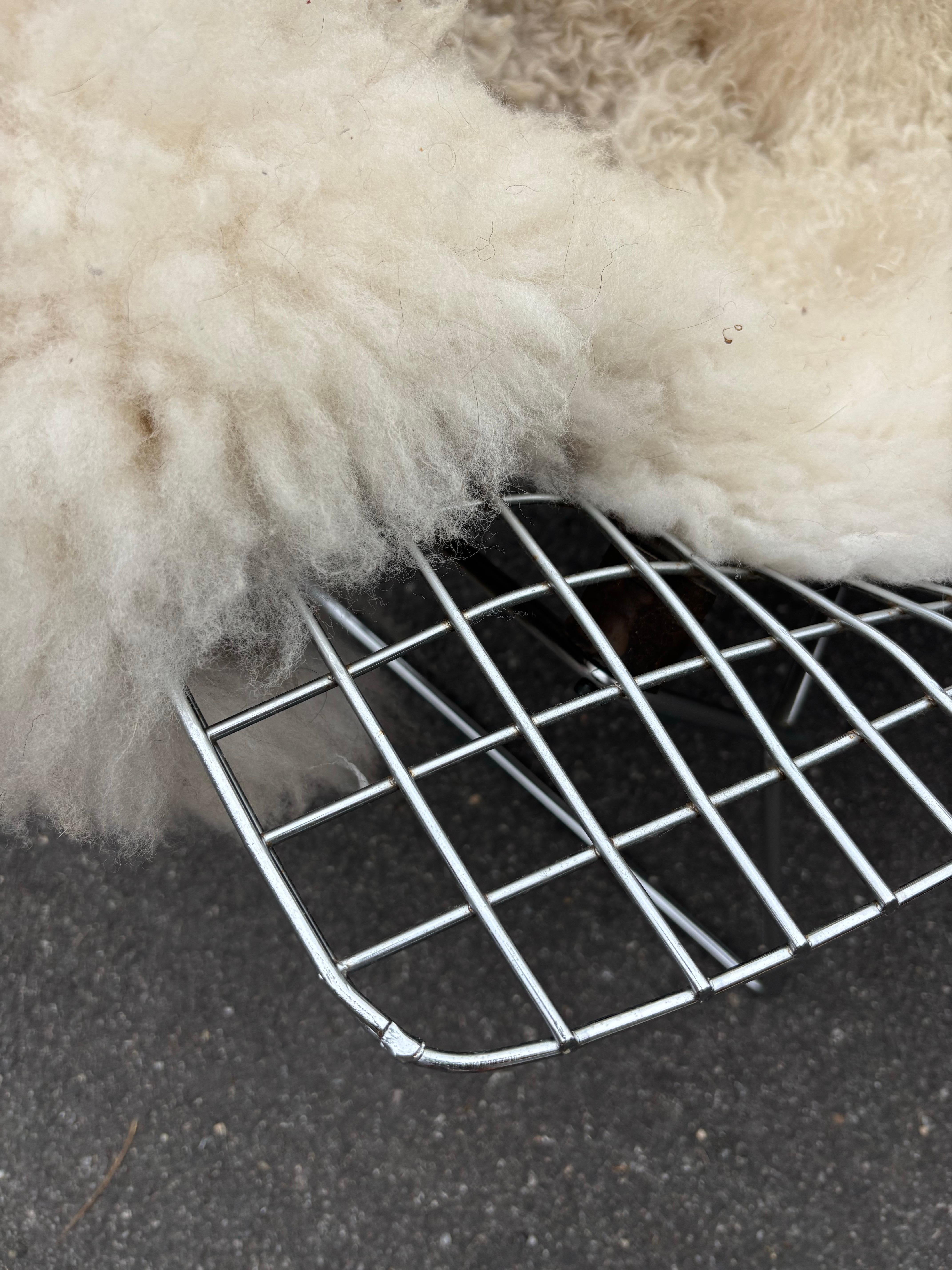 Bertoia for Knoll Bird Chair and Ottoman in Chrome For Sale 2