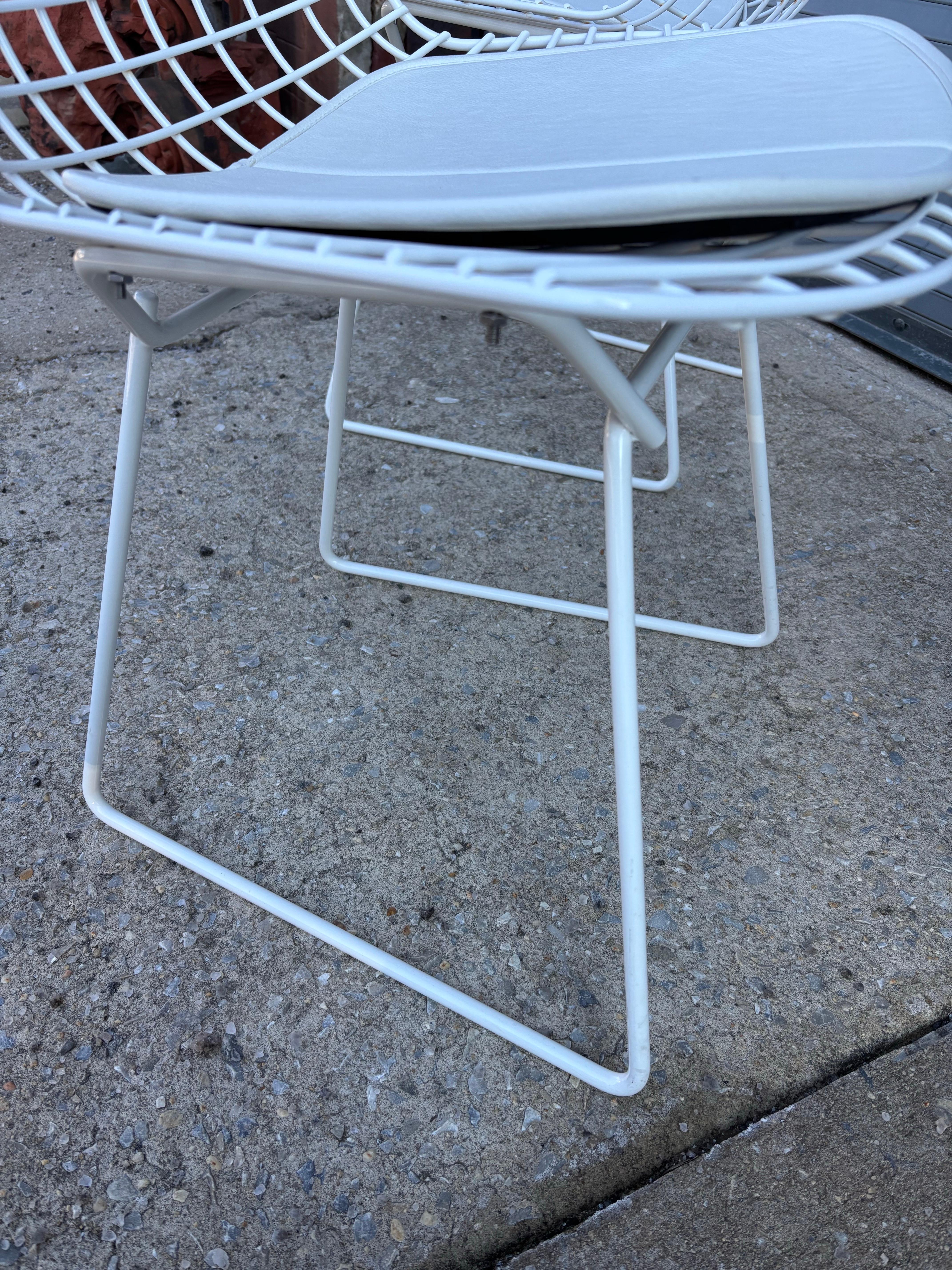Contemporary Bertoia for Knoll Dining Chairs For Sale