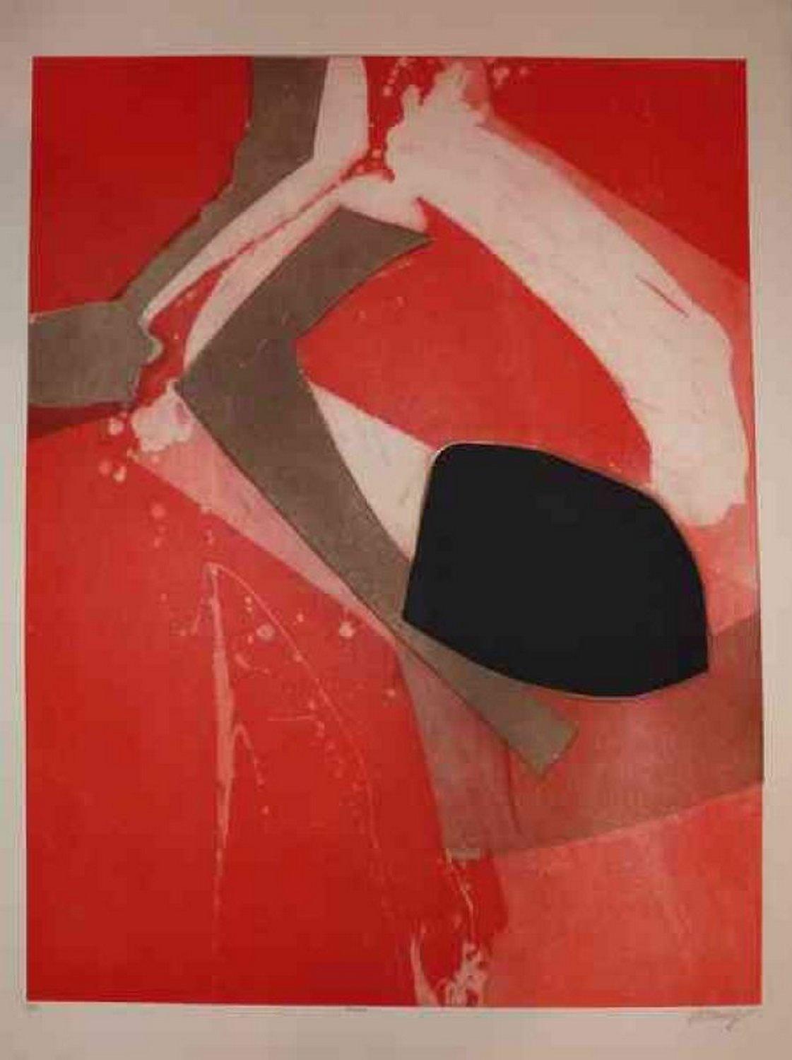 Bertrand Dorny Abstract Print - Almelo 